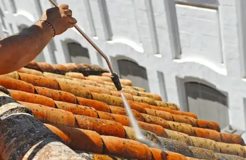 Nettoyage de toitures - Pleudihen-sur-Rance